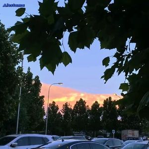 ALESTAMA(别理我呢么远）