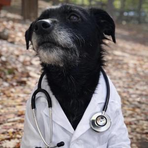 Vomiting in the neonate