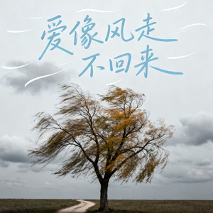 爱像风走不回来