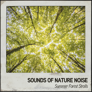 Feels like Rain Again