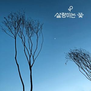 낮에 뜨는 달 (클래식기타)