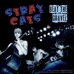 Stray Cat Strut (Live 1982)