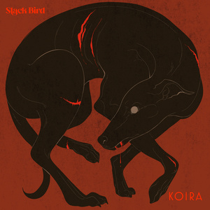 Koira