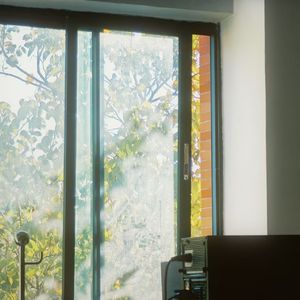 我从未如此相信