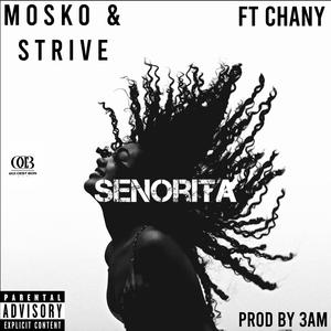 Senorita (feat. Chany)