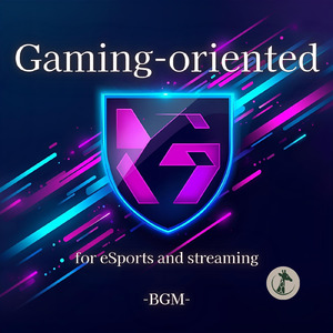 Gaming BGM 50/50typeB