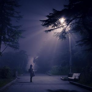 都市中的爱与星光