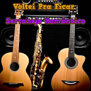 Voltei Pra Ficar - Sertanejo Romântico