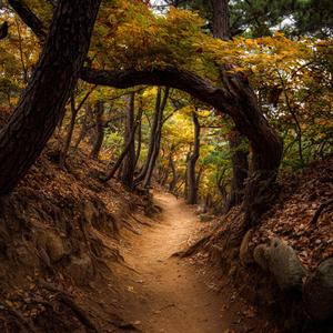 산들바람이 걷던 길