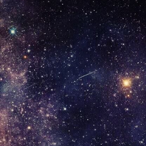 星星的愿望 张岚原创作品