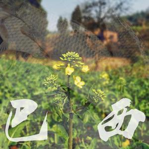 太阳出来喜洋洋（intro）