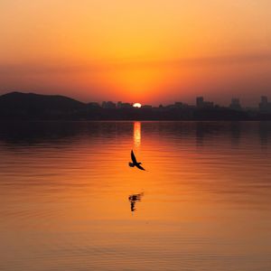 【洛天依AI】牵丝戏·昭白