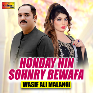 Honday Hin Sohnry Bewafa