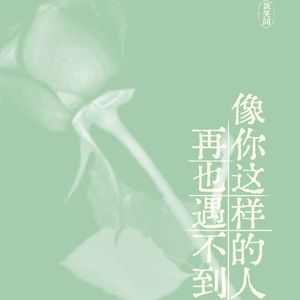 再也遇不到像你这样的人