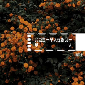 我总是一个人在练习一个人