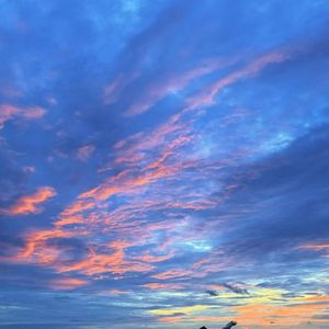 你告诉我你不会离开