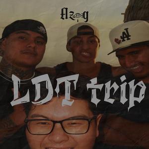LDT Trip (feat. Manu Fts, Hono & Dimitri chant)