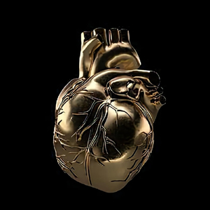 Heart of Gold