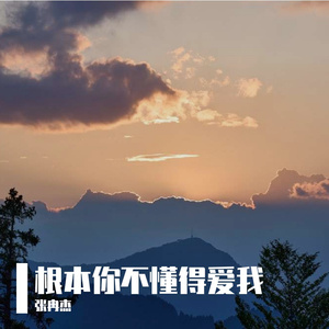 根本你不懂得爱我