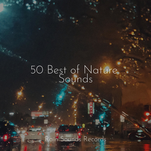 Cityscapes of Rust and Concrete