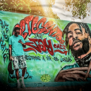 Tamus a Vir de Longe