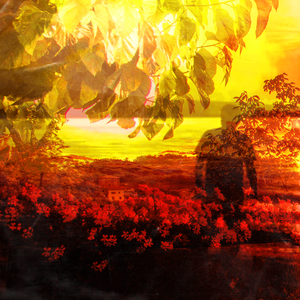 サンクチュアリー