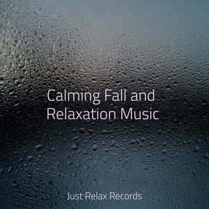 Whispers in the Willow Shade