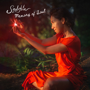 Memory of Soul