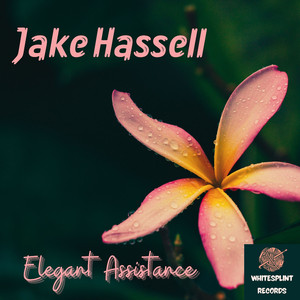 Elegant Assistance