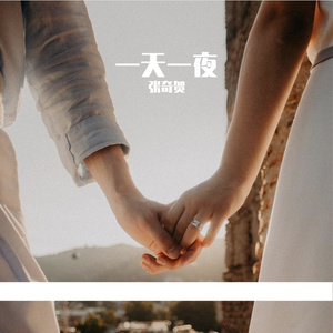 一天一夜 张奇贺