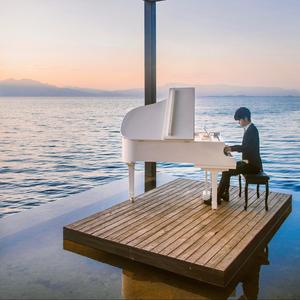 《夜色钢琴曲》大鱼 - 赵海洋