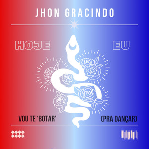 Hoje Eu Vou Te Botar (Pra Dançar)