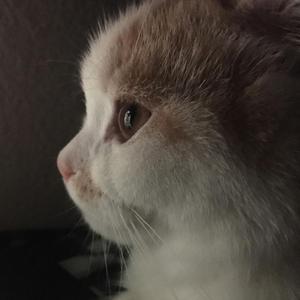 爱我的人别紧张