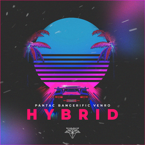 Hybrid