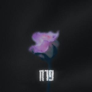 פרח (feat. Ariel Sasson)