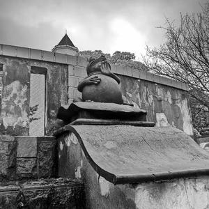 Hill of dead birds demo