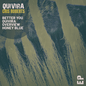 Overview (Dancefloor Killers Remix)
