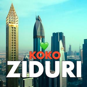 Ziduri