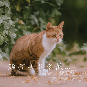 猫先生与老鼠先生