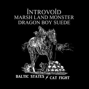 Cat Fight (feat. Marsh Land Monster & Dragon Boy Suede) (Introvoid Remix)