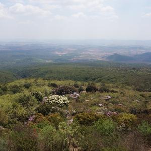 依然向远方 伴奏