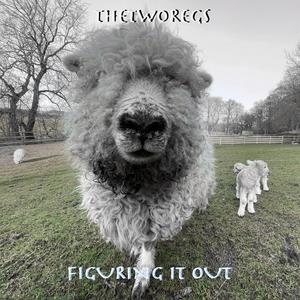 What a lady what a night