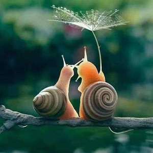 如果时间可以回到从前