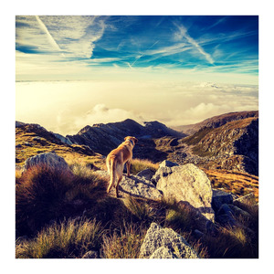 In Your Deepest Gaze