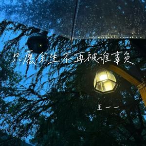 只愿余生不再被谁辜负