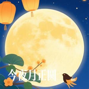 今夜月正圆