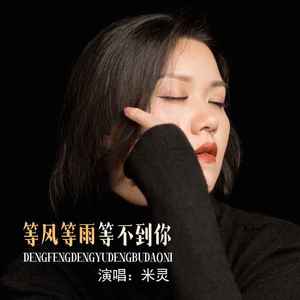 等风等雨等不到你 (DJ默涵版)