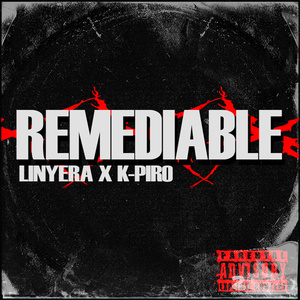 REMEDIABLE (Remix)