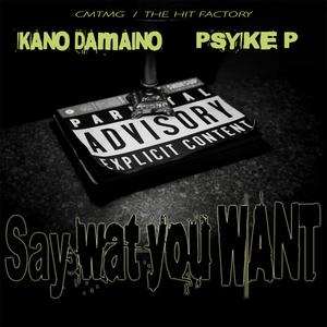 SAY WAT U WANT (feat. KANO DAMAINO)