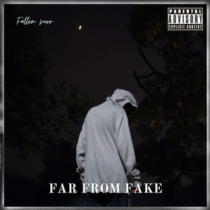 Far From Fake